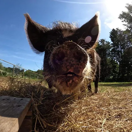 Bed and breakfast Retour Aux Sources Gouberville