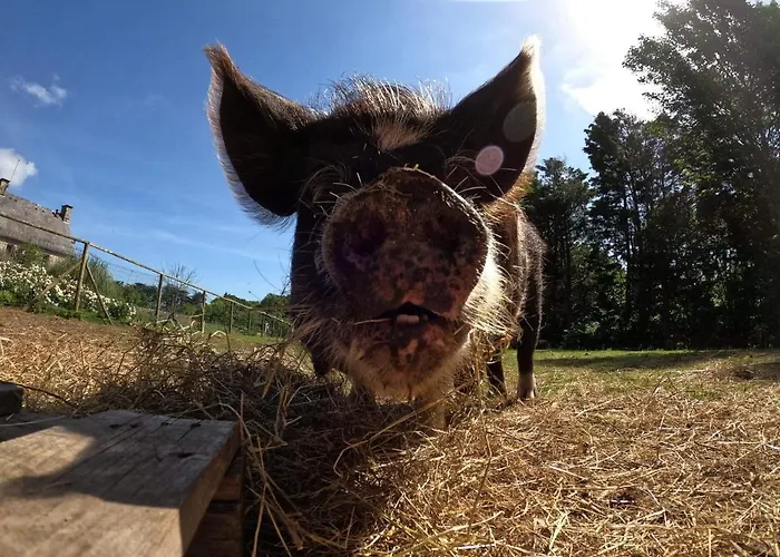 Bed and breakfast Retour Aux Sources Gouberville